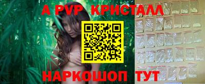 крисы Моздок