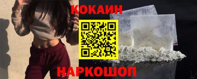 крисы Моздок