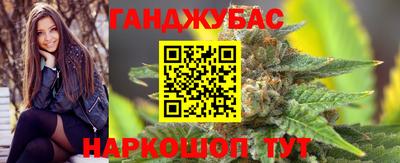 крисы Моздок