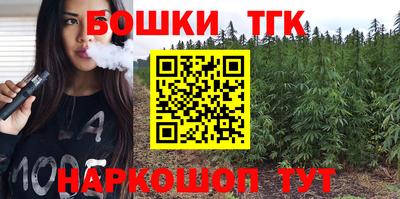 эйфоретик Можга