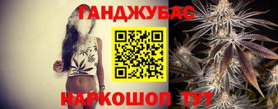 крисы Моздок