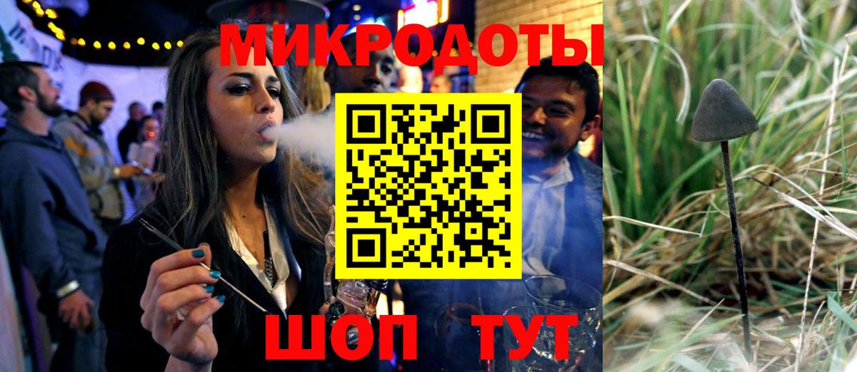 Томск  Галлюциногенные грибы Cubensis  Вход с VPN 
